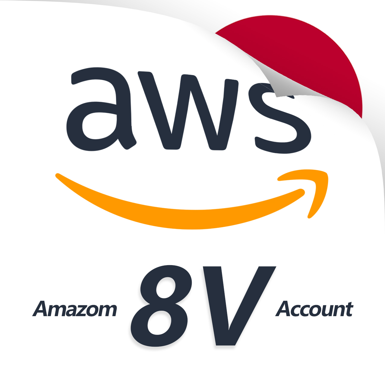AWS 8V 日本- 东京