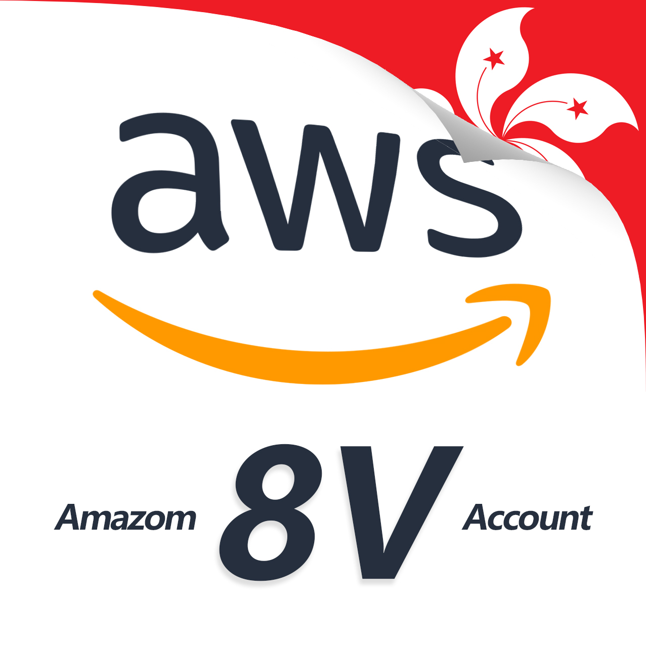AWS 8V 香港
