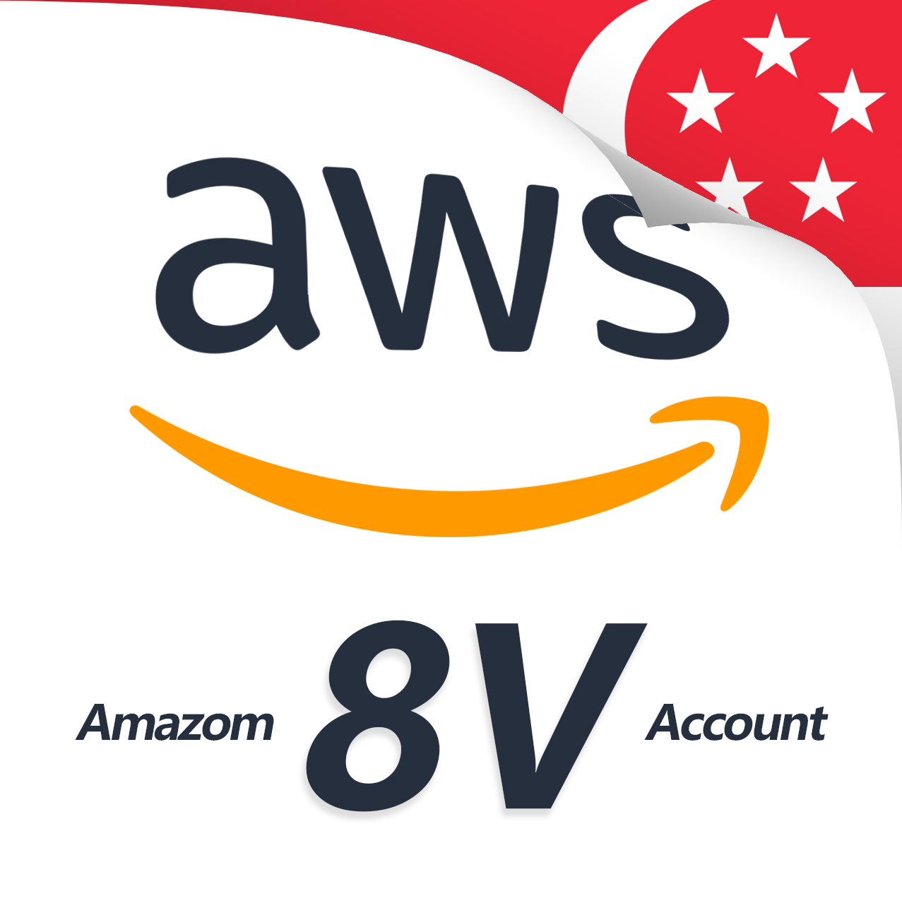 AWS 8V 新加坡